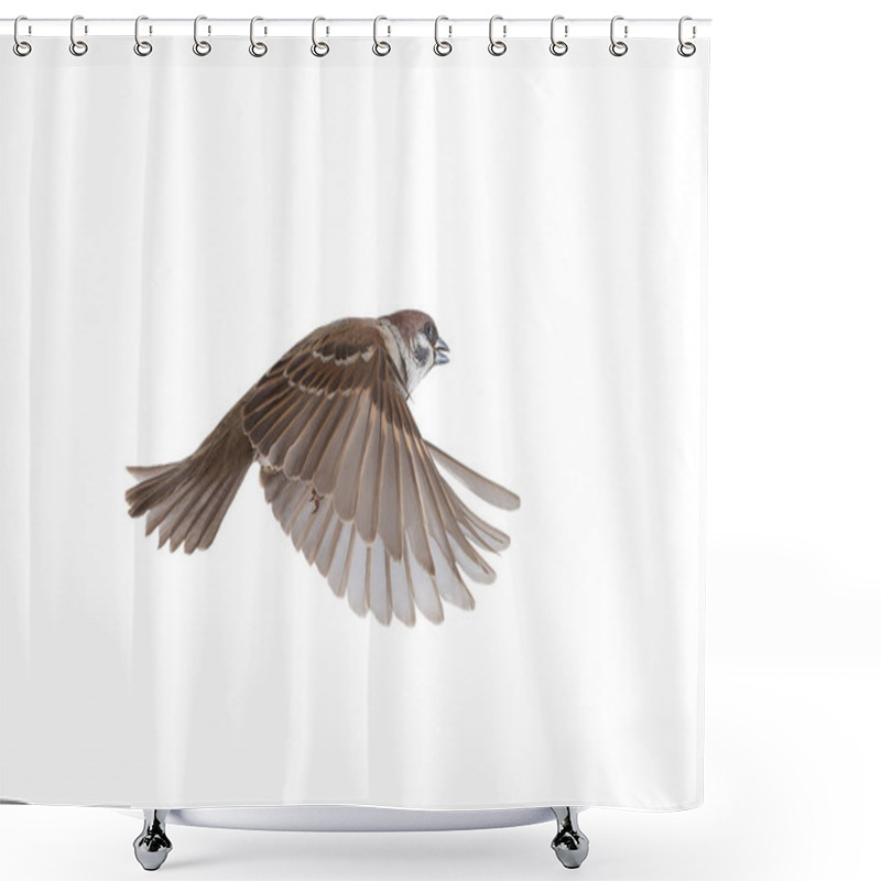 Personality  Flying Sparrow Long Exposure Isolated On White Background Shower Curtains