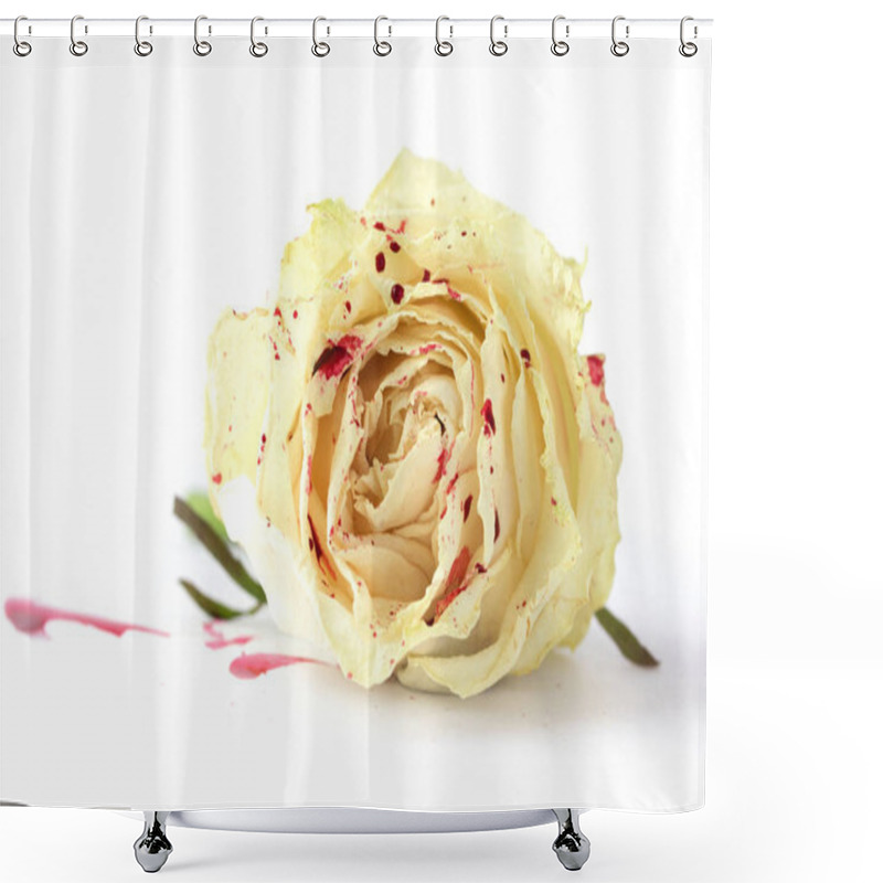 Personality  White Rose In Blood On White Background. Not Isolated Shower Curtains