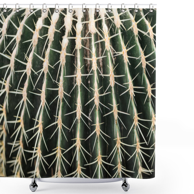 Personality  Close Up View Of Green Cactus With Sharp Yellow Needles Shower Curtains