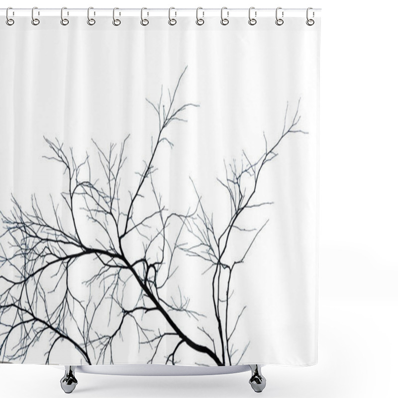 Personality  Dead Tree And Branch Isolated On White Background. Black Branches Of Tree Backdrop. Nature Texture Background. Tree Branch For Graphic Design And Decoration. Art On Black And White Scene.  Shower Curtains