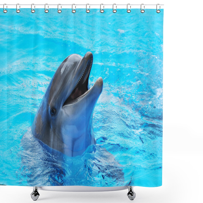 Personality  Dolphins Shower Curtains