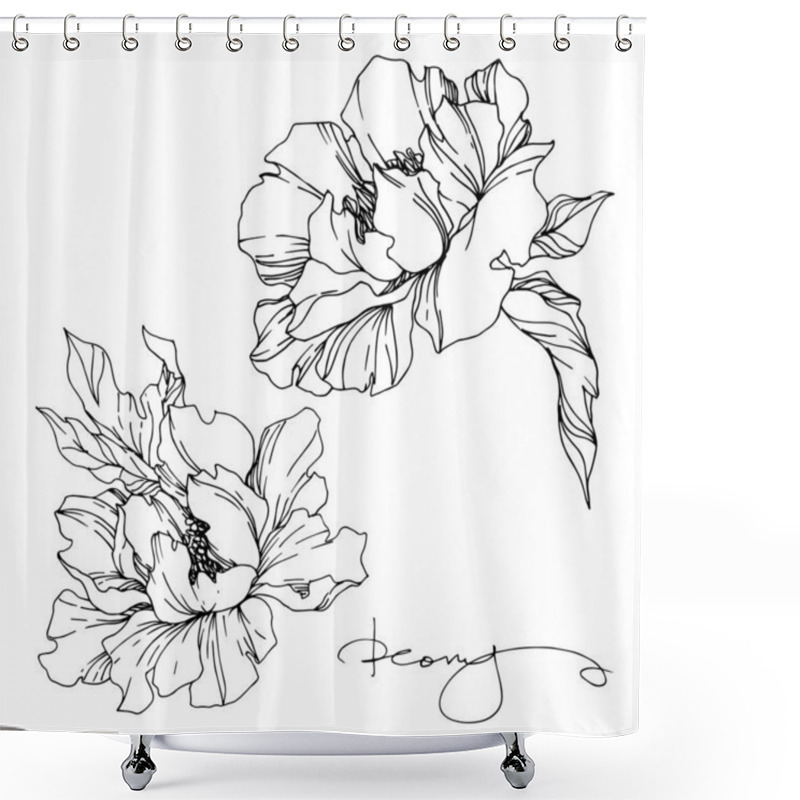 Personality  Vector Peony Floral Botanical Flowers. Black And White Engraved  Shower Curtains