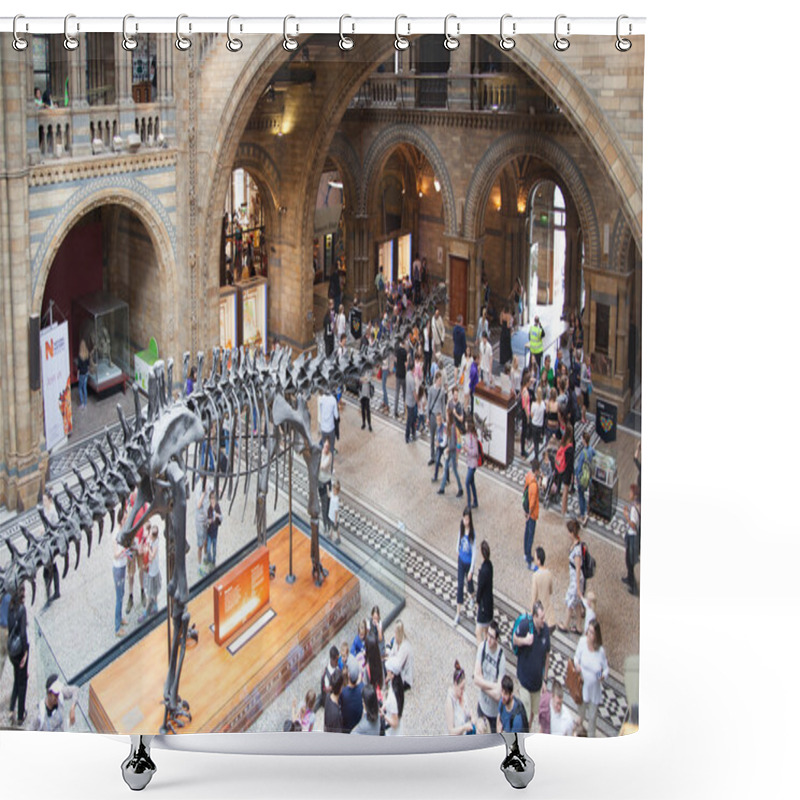 Personality  London, National History Museum Shower Curtains