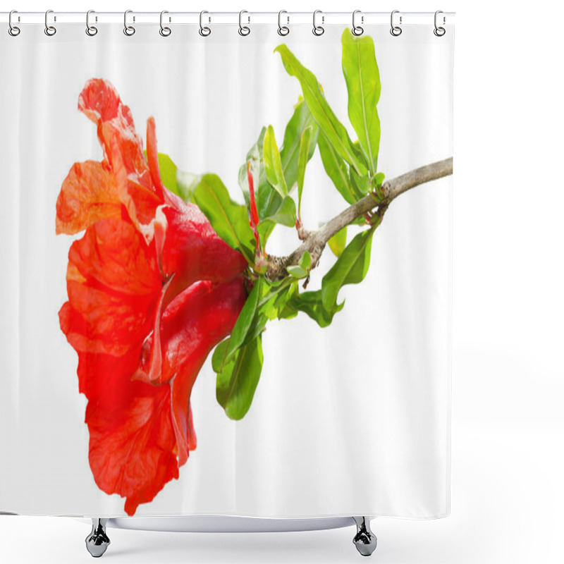 Personality  Isolated Pomegranate Spring Blossom Red Flowers Shower Curtains