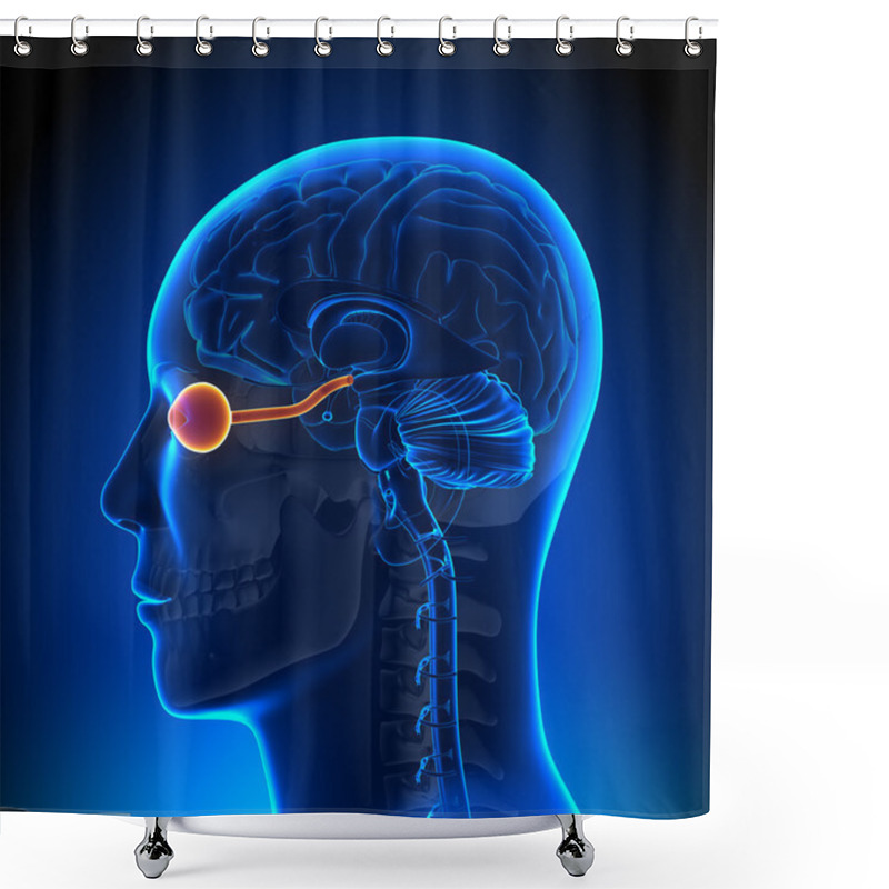 Personality  Brain Anatomy - Optical Nerve Eye Shower Curtains