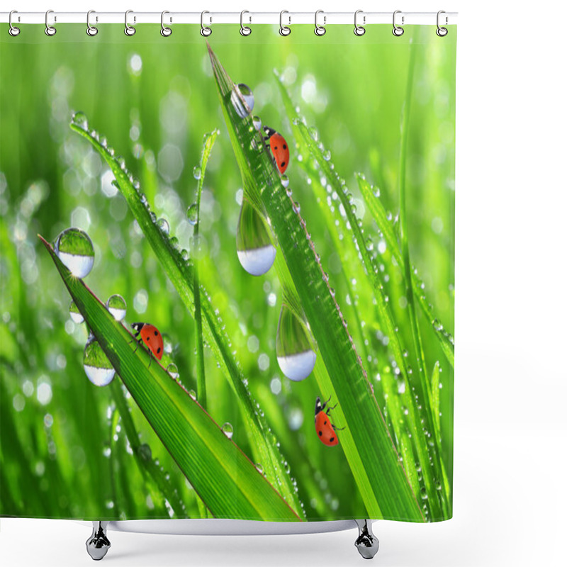 Personality  Dew Drops And Ladybug Shower Curtains