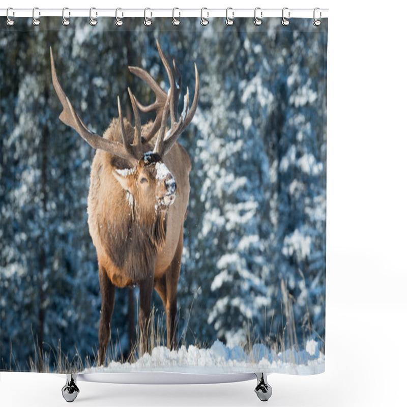 Personality  Elk Shower Curtains