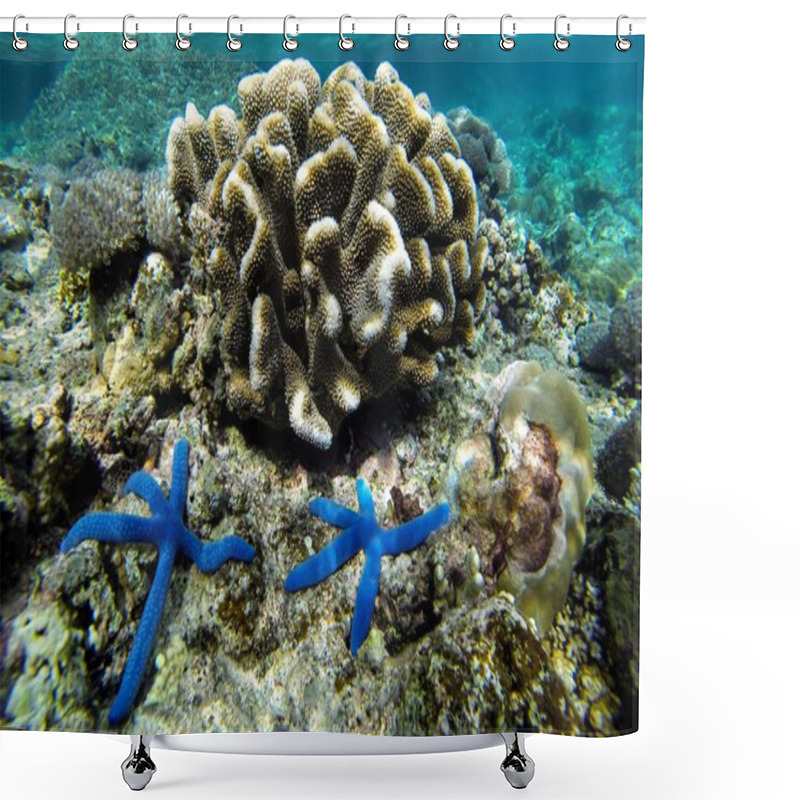 Personality  Blue Starfishes Shower Curtains