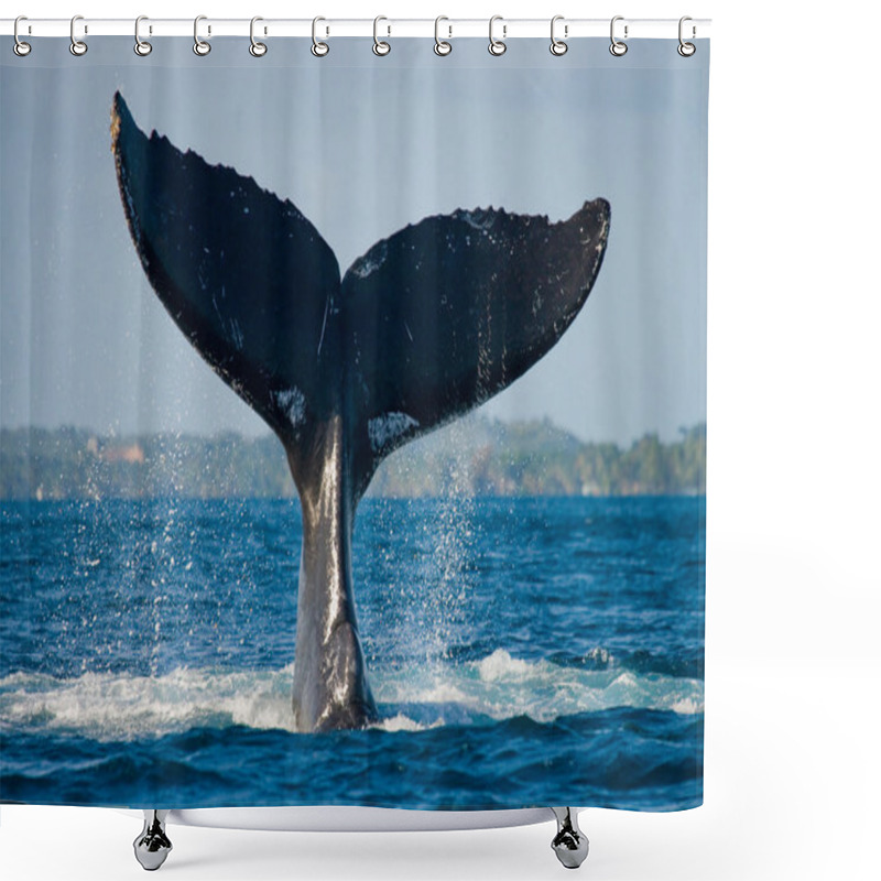 Personality  Whale Jumping In The Air Shower Curtains