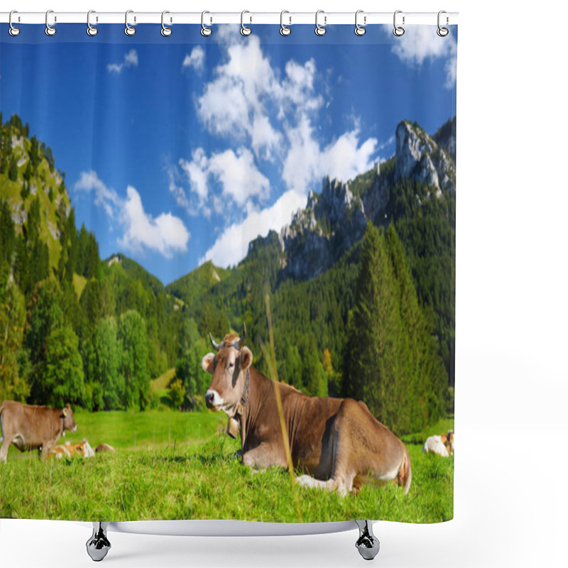 Personality  Cows Grazing In Idyllic Green Meadow. Scenic View Of Bavarian Alps With Majestic Mountains In The Background. Bavaria, Germany. Shower Curtains