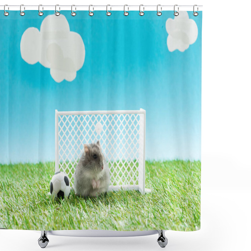 Personality  Funny Hamster Near Toy Soccer Ball And Gates On Green Grass On Blue Background With Clouds, Sports Betting Concept Shower Curtains