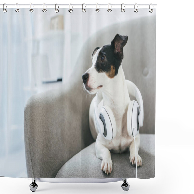 Personality  Dog Shower Curtains