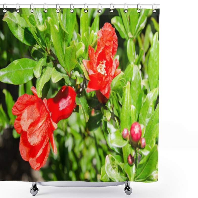 Personality  Vivid Red Spring Pomegranate Blossom Shower Curtains