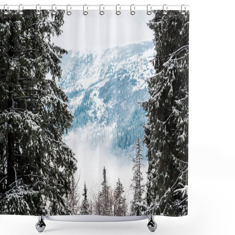 Personality  Scenic View Of Snowy Mountains With Pine Trees Shower Curtains