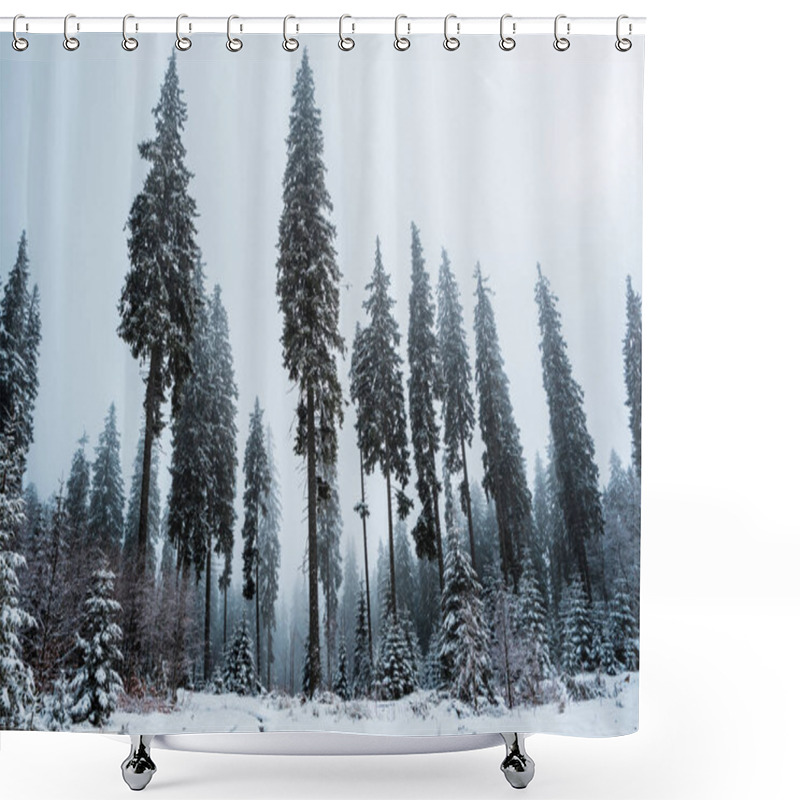 Personality  Scenic View Of Pine Forest With Tall Trees Covered With Snow Shower Curtains