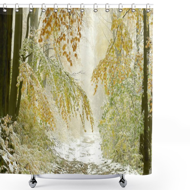 Personality  Misty Forest Path At The End Of Autumn Shower Curtains