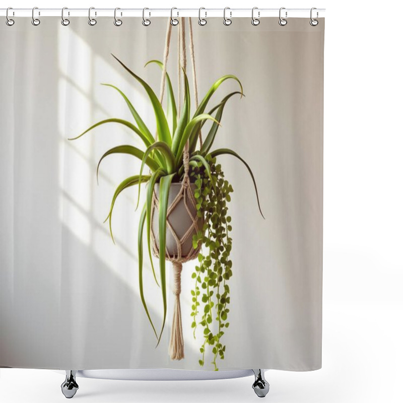 Personality  Aloe Vera Plant In A Pot Isolated On White Background Shower Curtains