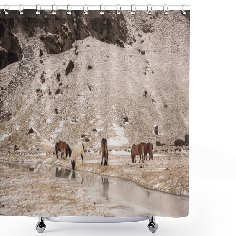 Personality  Wildlife Shower Curtains