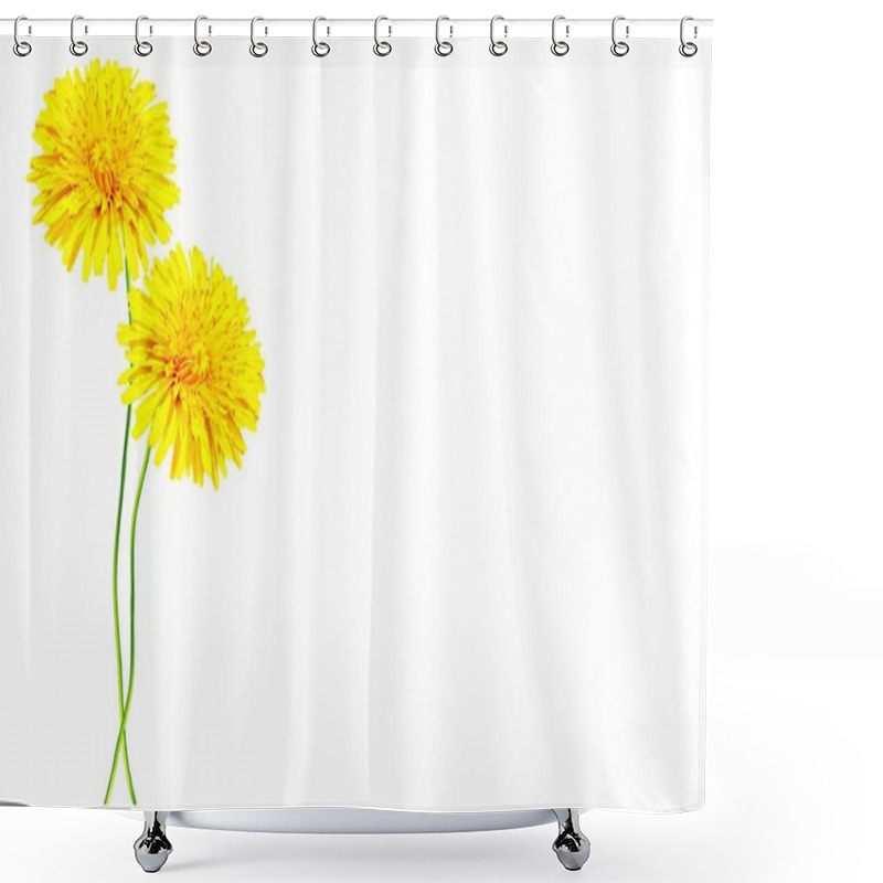 Personality   Dandelion Flower Isolated On White Background. Shower Curtains