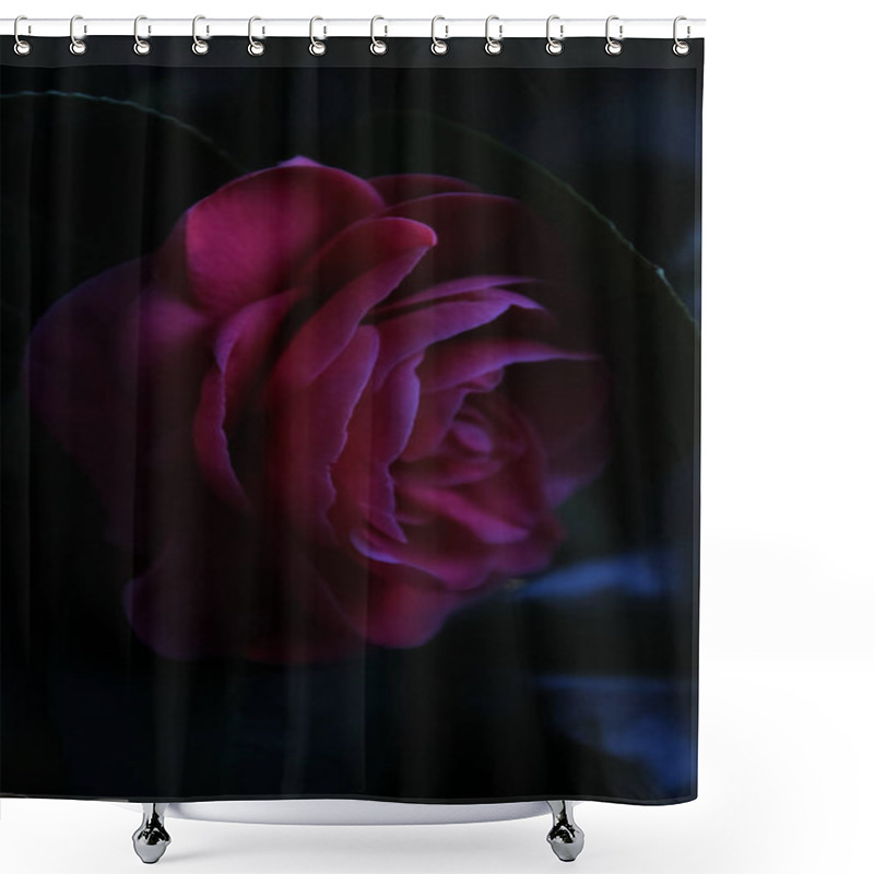 Personality  Red Rose In Darkness  Shower Curtains