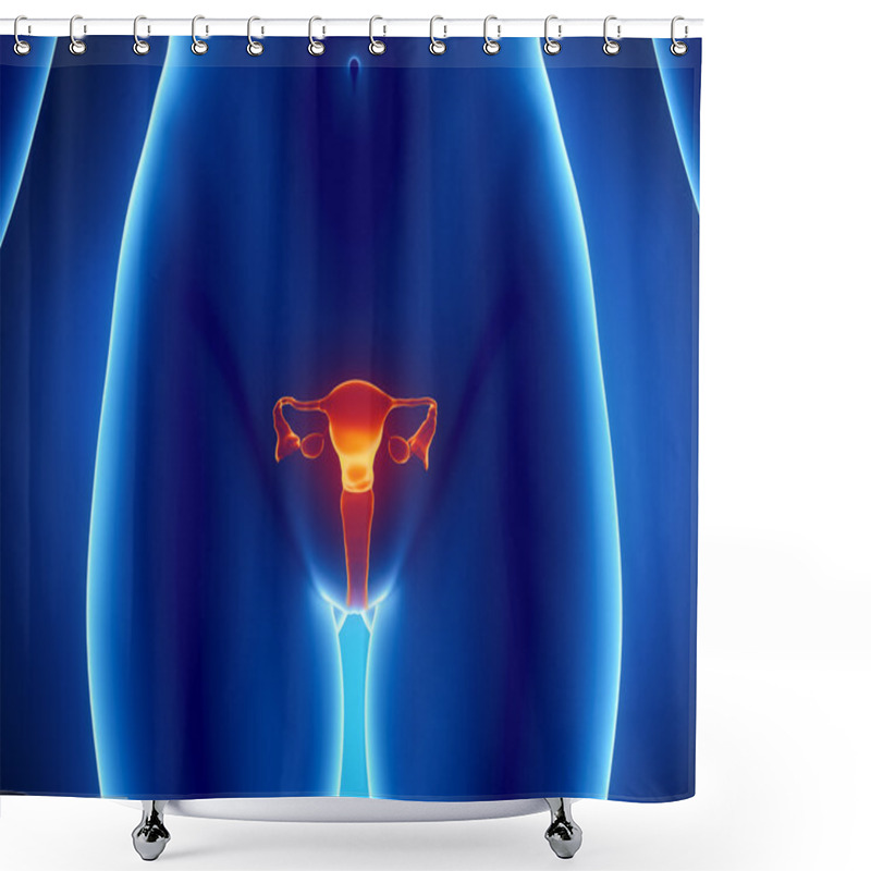 Personality  Female REPRODUCTIVE System X-ray View Shower Curtains