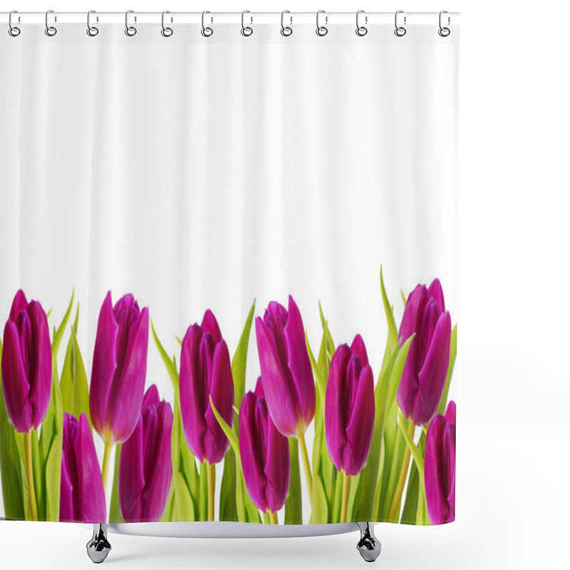 Personality  Purple Tulips Frame Shower Curtains