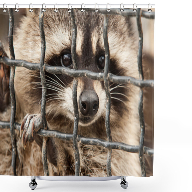 Personality  Raccoon In A Cage. Shower Curtains