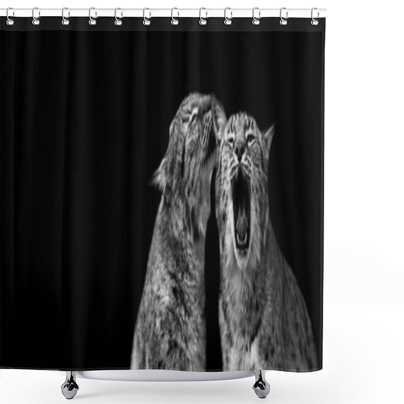 Personality  Lynx With A Black Background Shower Curtains