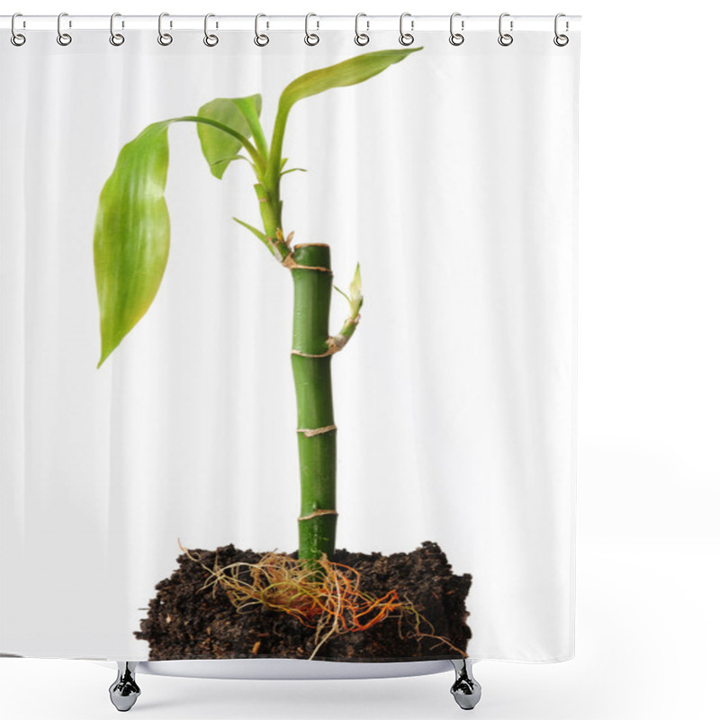 Personality  Bamboo Roots, Shower Curtains