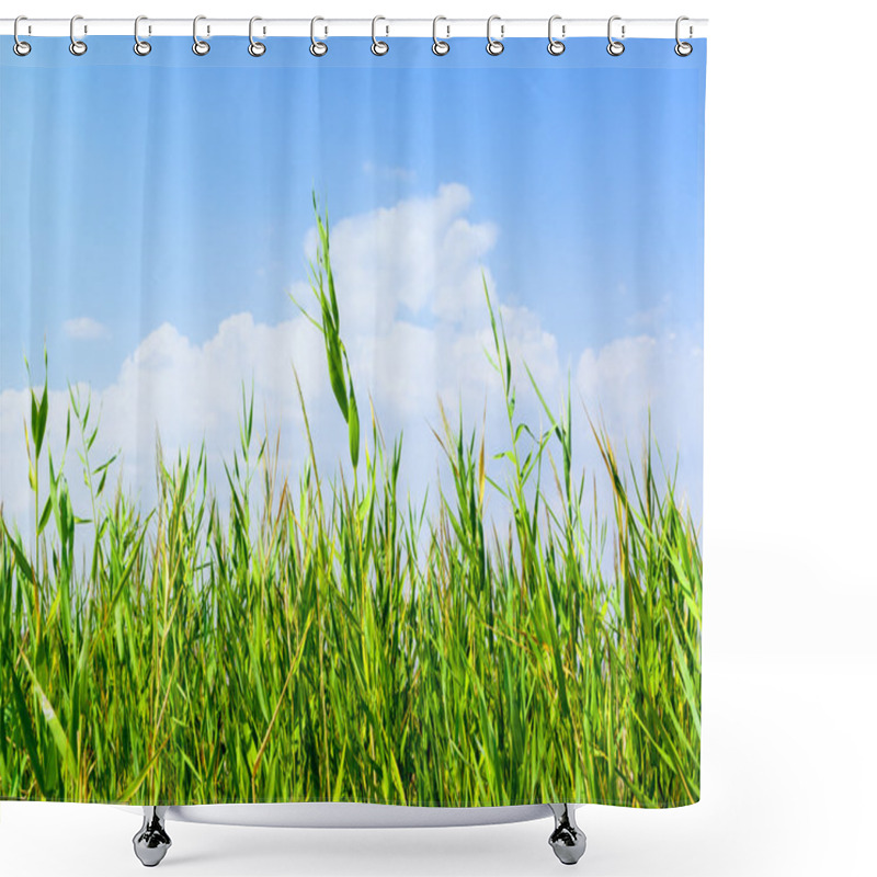 Personality  Reeds Background Shower Curtains