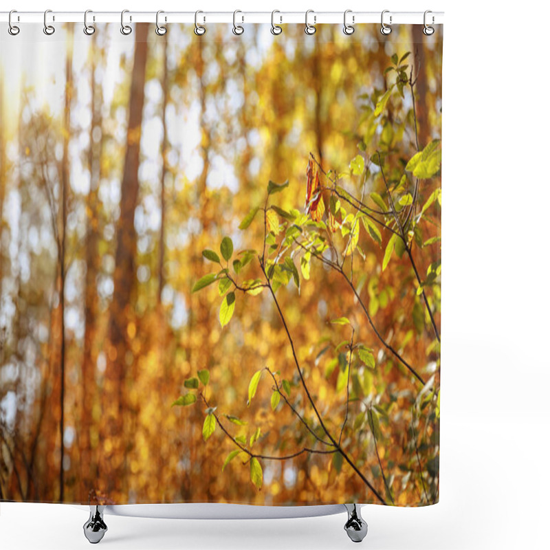 Personality  Selective Focus Of Trees With Yellow And Green Leaves In Autumnal Park At Day  Shower Curtains