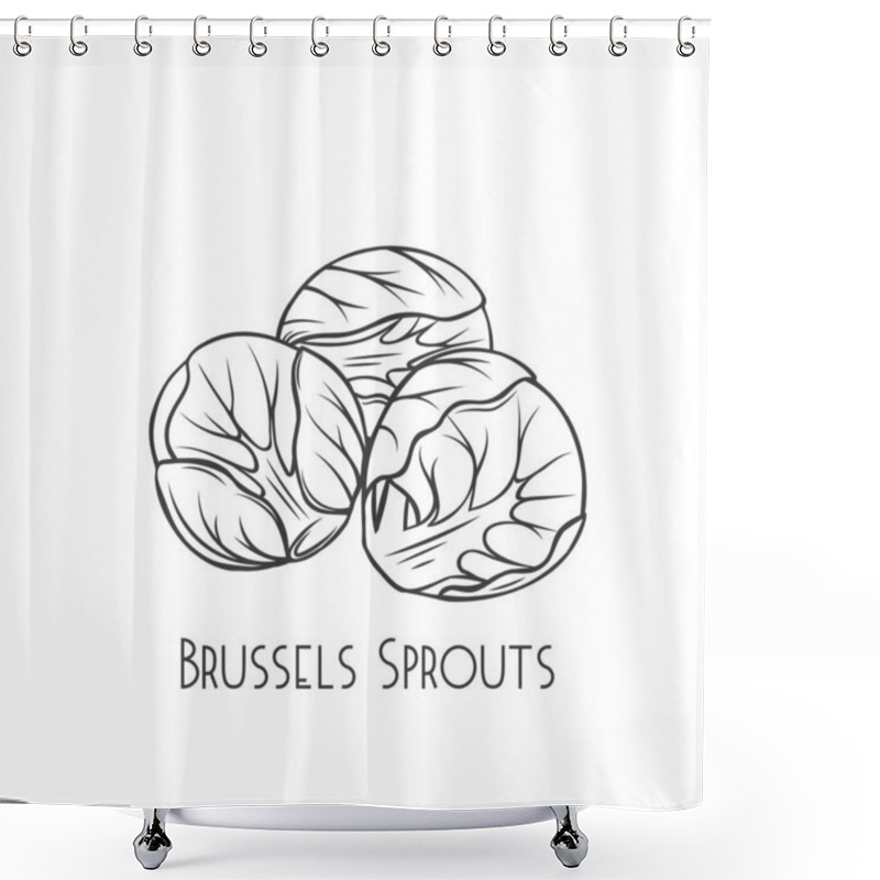 Personality  Brussels Sprouts Vector Shower Curtains