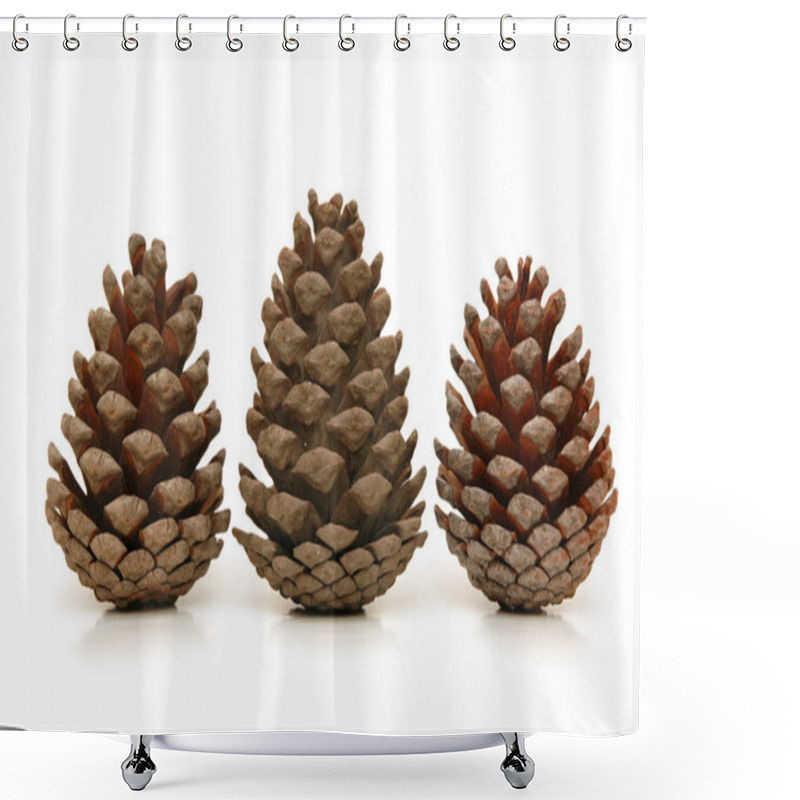 Personality  Three Pine Cones Isolated On White Shower Curtains