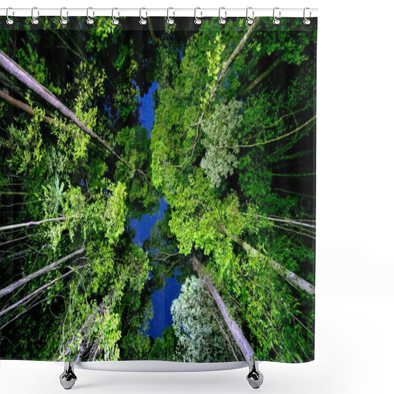 Personality  Night Forest Shower Curtains