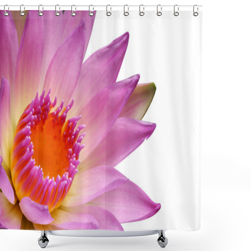 Personality  Pink Lotus Blossoms Or Water Lily Flowers Blooming Shower Curtains