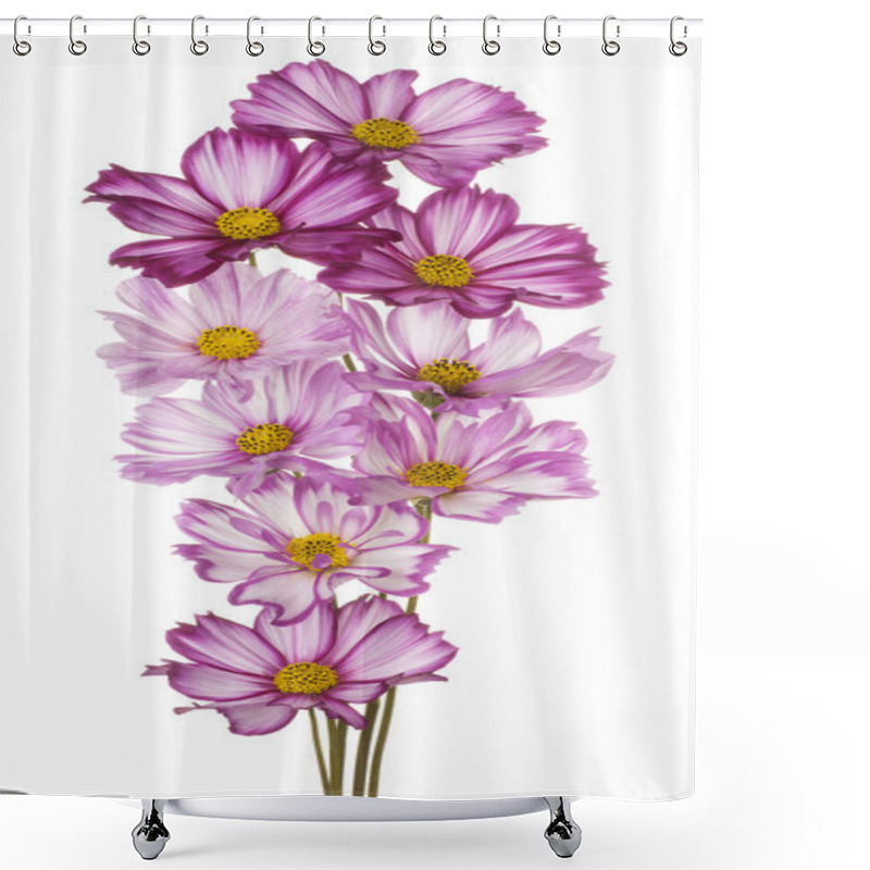 Personality  Flower Isolated On White Shower Curtains