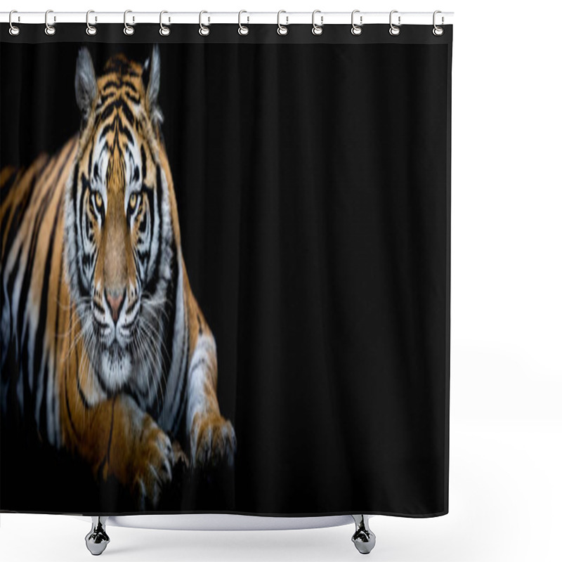 Personality  Tiger With A Black Background Shower Curtains