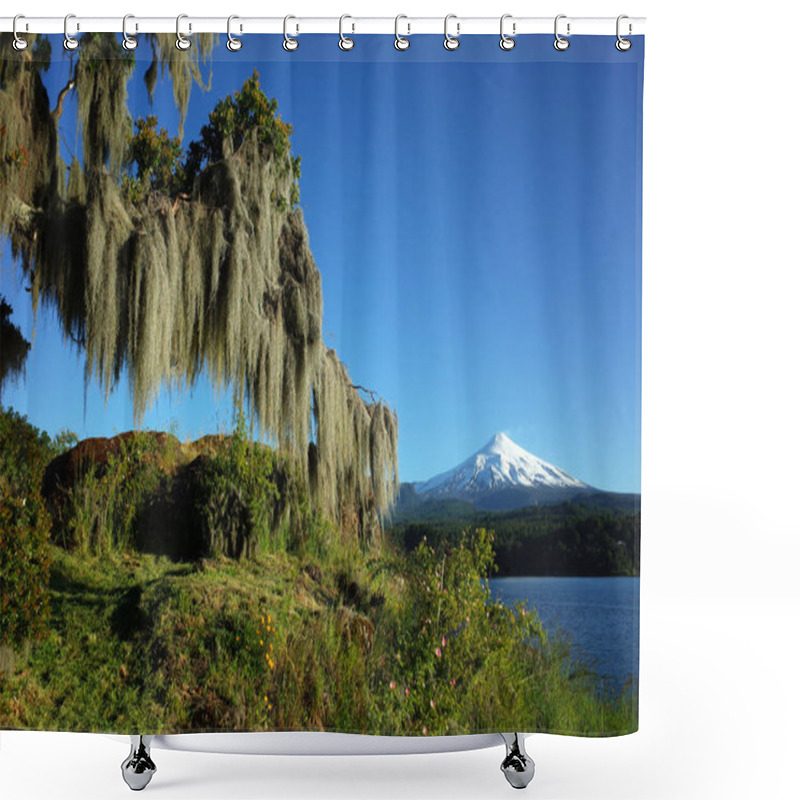 Personality  Spanish Moss Hanging From Tree, Snowy Cone Of Villarrica Volcano And Lake Villarrica In Sunny Day Blue Sky, Green Environment Nature Of Chile, Pucon Shower Curtains