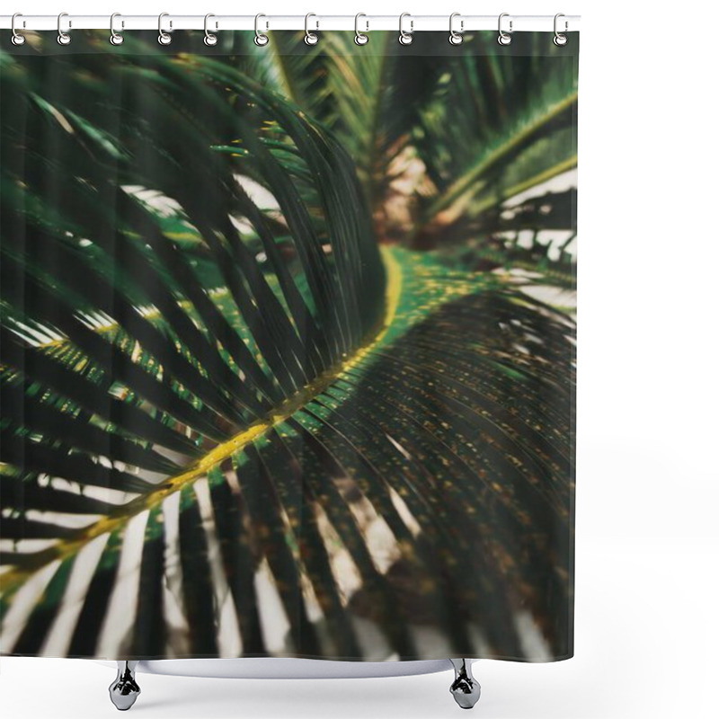 Personality  Macro View Of A Green Palm Leaf With A Textured Central Stem And Spotted Foliage, Showcasing Natural Patterns And Imperfections.  Shower Curtains