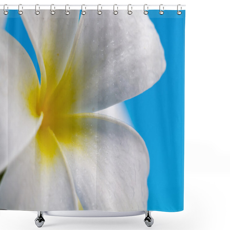 Personality  Fresh Frangipani Flower Shower Curtains