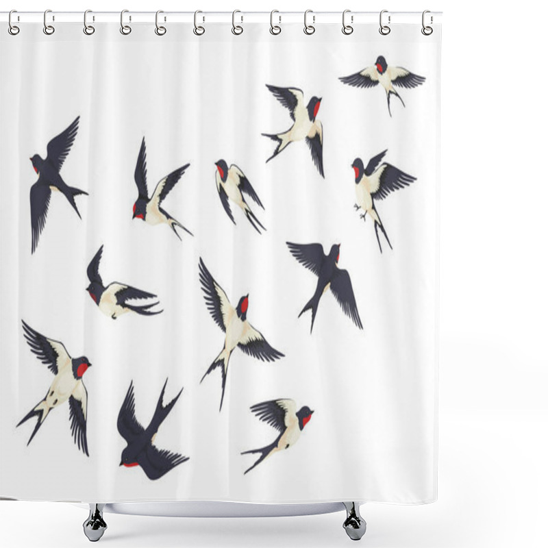 Personality  Flying Birds Flock. Cartoon Hand Drawn Swallows In Fight With Different Poses, Kids Illustration Isolated On White. Vector Set Shower Curtains