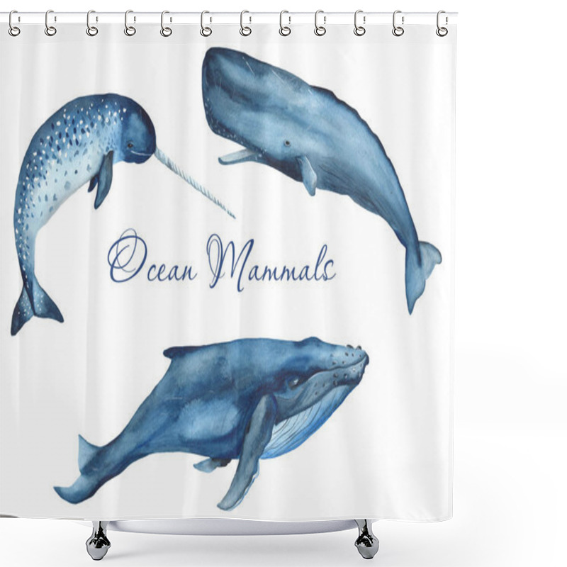 Personality  Watercolor Whale, Narwhal, Sperm Whale Cliprt. Illustrations Ocean Mammals On A White Background. For Cards, Invitations, Weddings, Logos, Quotes, Marine Design. Shower Curtains