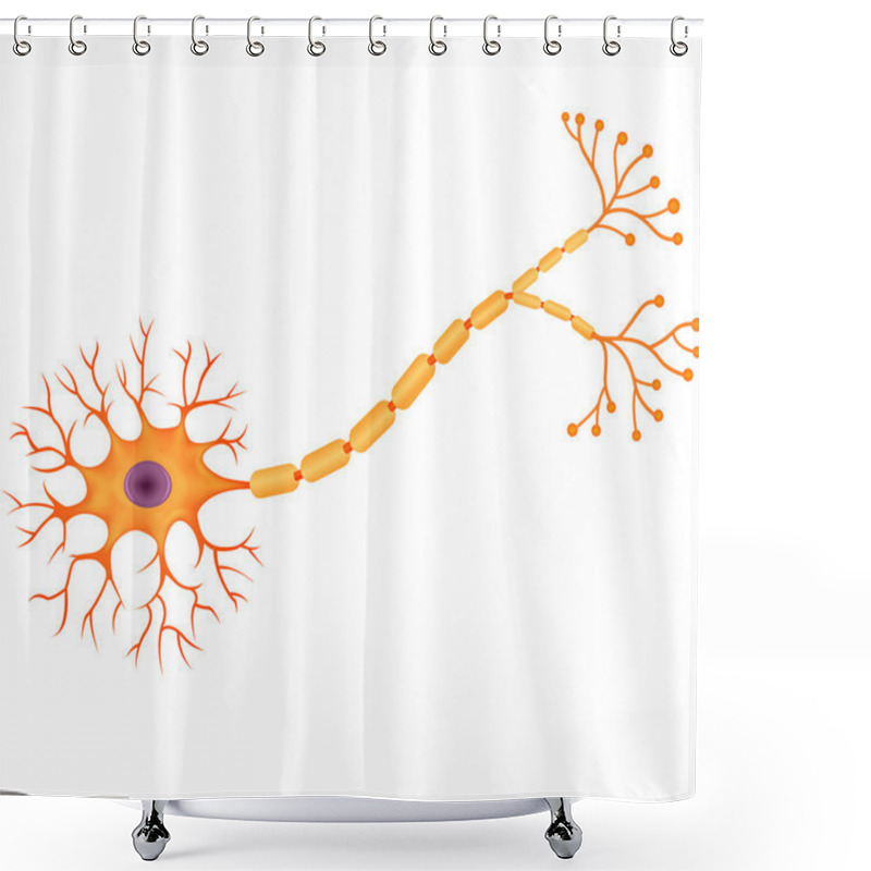 Personality  Illustration Of Human Neuron Anatomy Shower Curtains