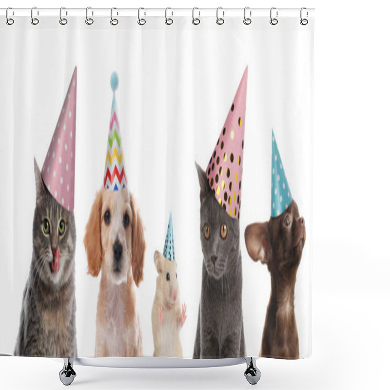 Personality  Cute Pets With Party Hats On White Background, Collage. Banner Design Shower Curtains