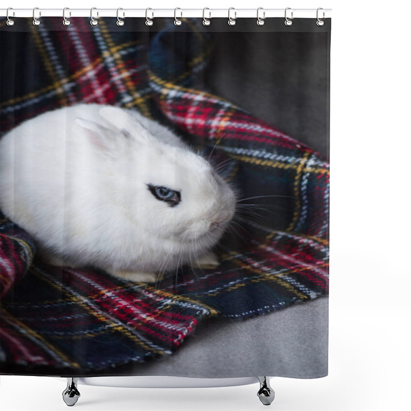 Personality  Cute Rabbit With Black Eye On Checkered Blanket Shower Curtains