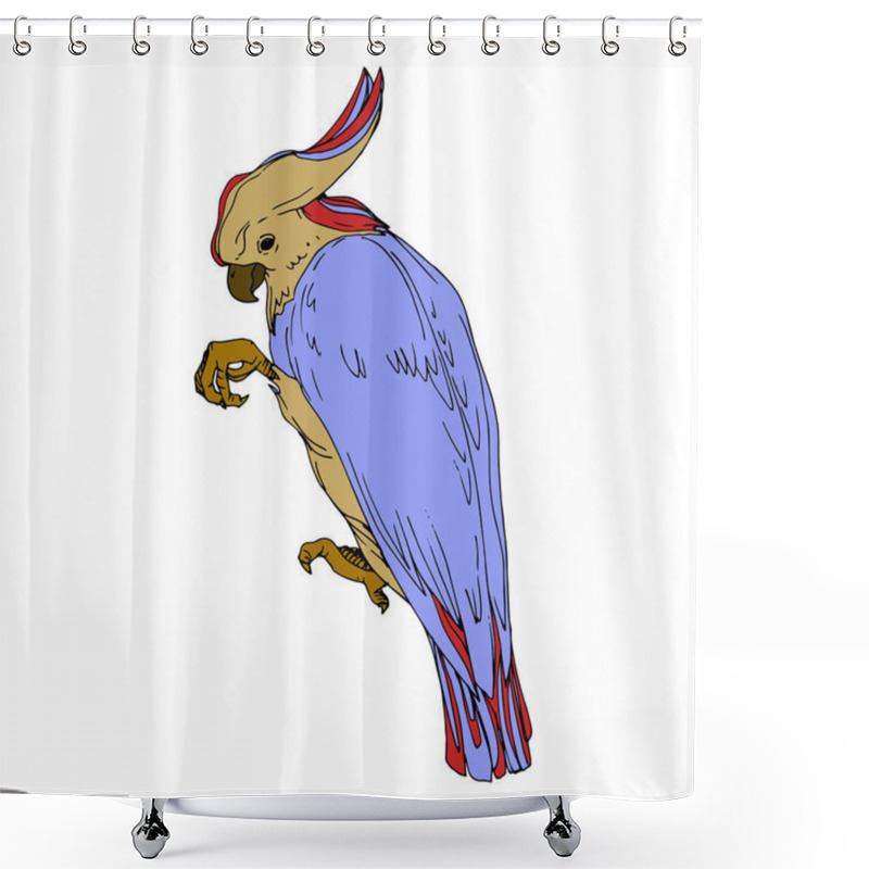 Personality  Vector Sky Bird Cockatoo In A Wildlife Isolated. Black And White Engraved Ink Art. Isolated Parrot Illustration Element. Shower Curtains