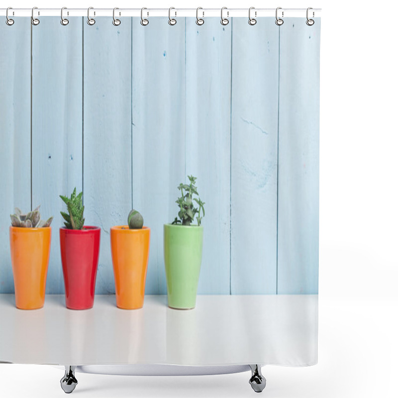 Personality  Succulents, House Plants Shower Curtains