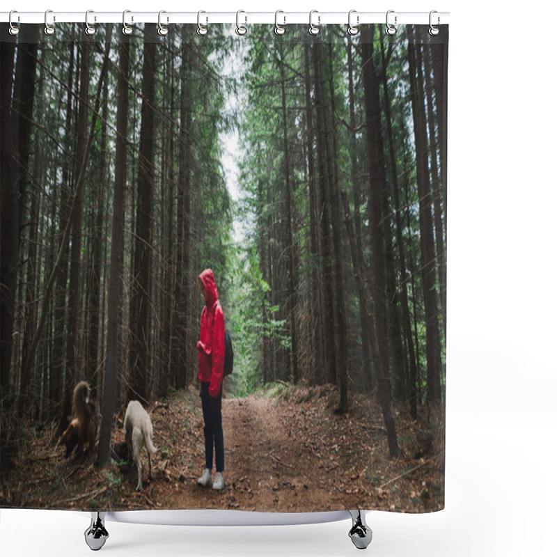 Personality  Woman In A Red Jacket And With Two Dogs Stands In The Forest. Girl Hiking With Dogs With Guides Climb Into The Mountains. Woman Tourist With Dogs With Guides On A Hike. Shower Curtains