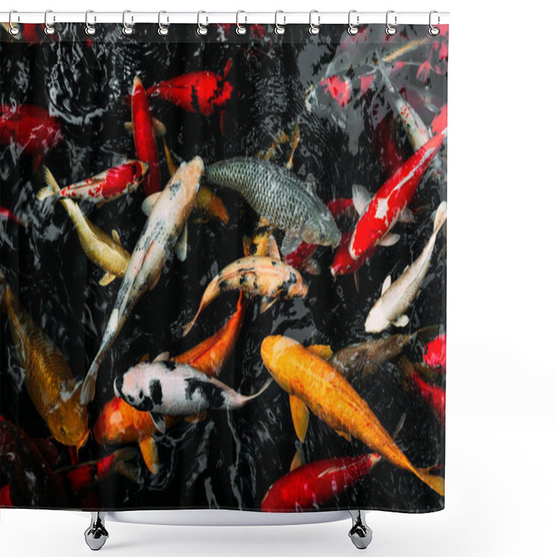 Personality  Royal Carp In The Pond. Koi Carp In The Pond. Ornamental Fish. Brocade Carp In The Water. Japanese Koi Carp. Sacred Fish Shower Curtains