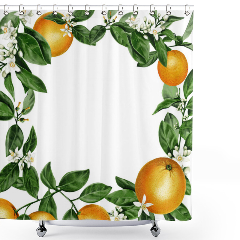 Personality  Frame Of Oranges. Juicy And Orange Fruits With Orange Blossom Leaves And Flowers. Citrus Small White Flowers. Watercolor Illustration. No Background.  Shower Curtains